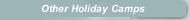 Other Holiday Camps