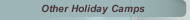 Other Holiday Camps